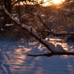 Photo extérieure Notre Chalet