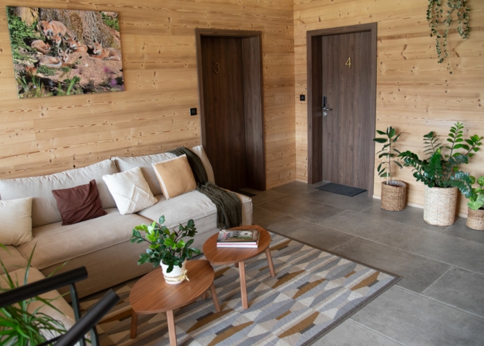 salon commun_étage_notre chalet